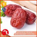 Rote Datum, frische Datteln Obst, chinesisch getrocknete rote Datteln